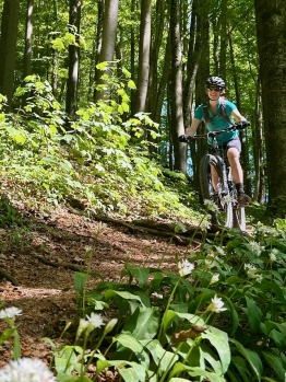 Lady Bike Day